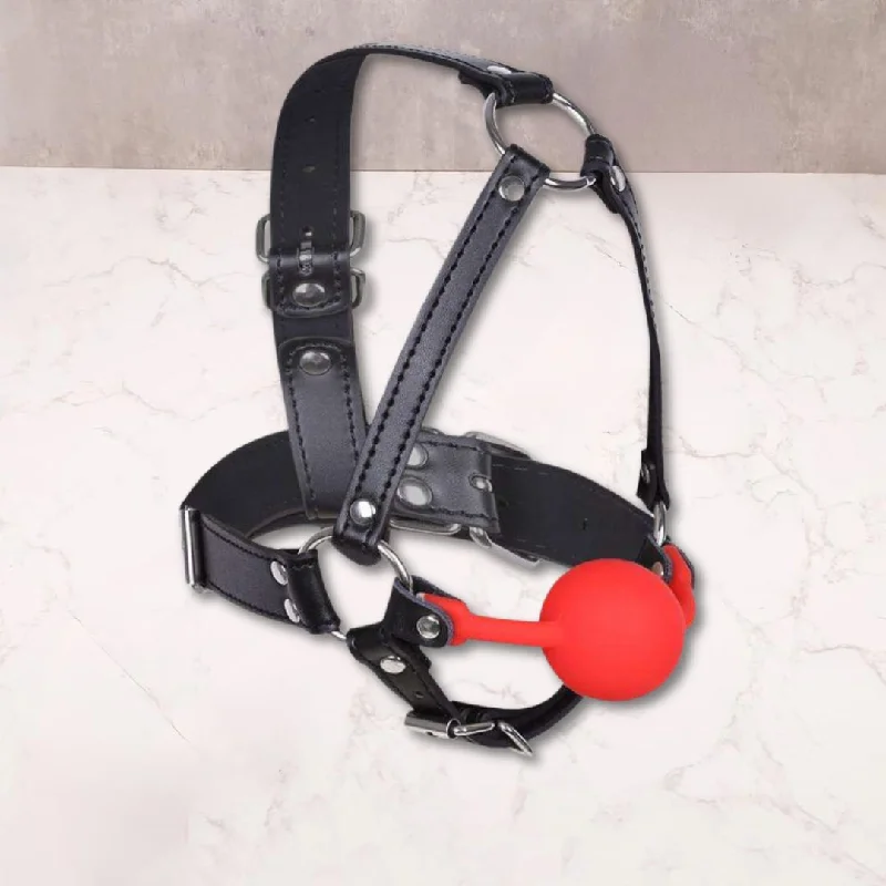 Head Harness mouth gag