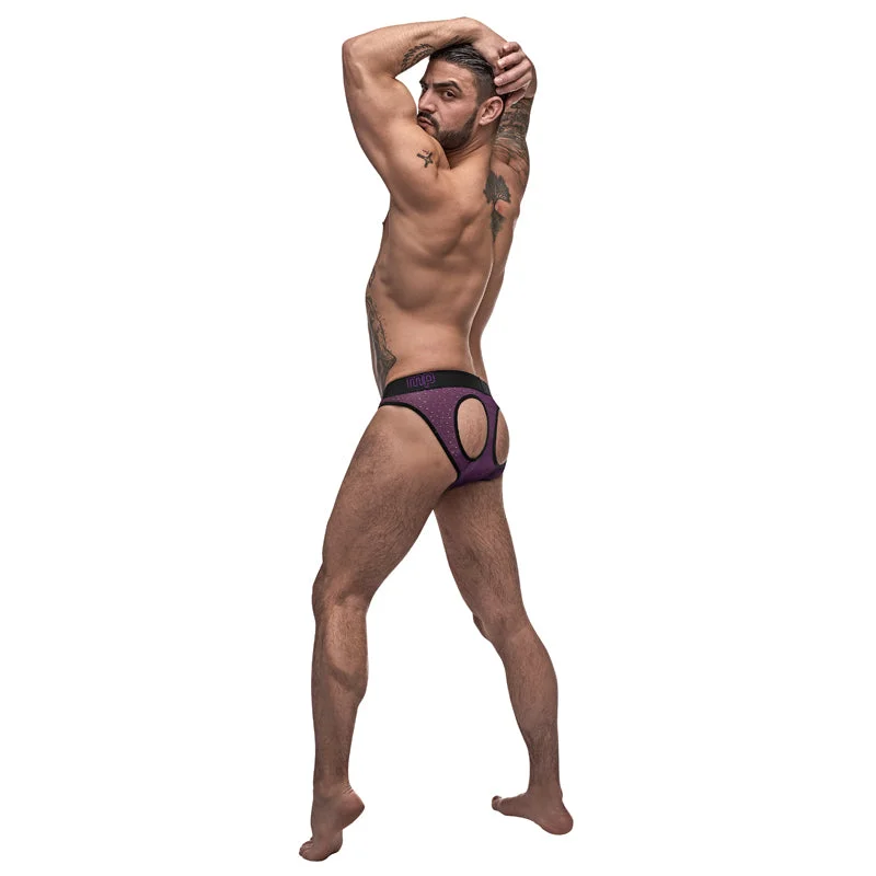 Male Power Airotic Mesh Butt Out Bikini Ppl Large